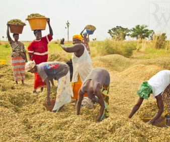 Farmer ladies in Senegal