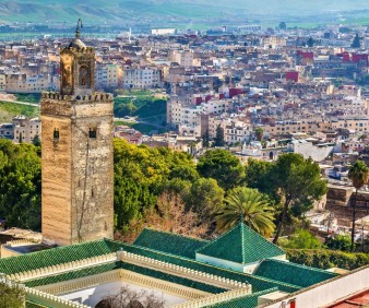 Fez Medina as seen from it panoramic view